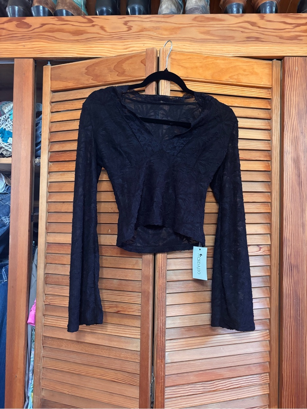 Black Lace Long-Sleeve V-Neck Crop Top